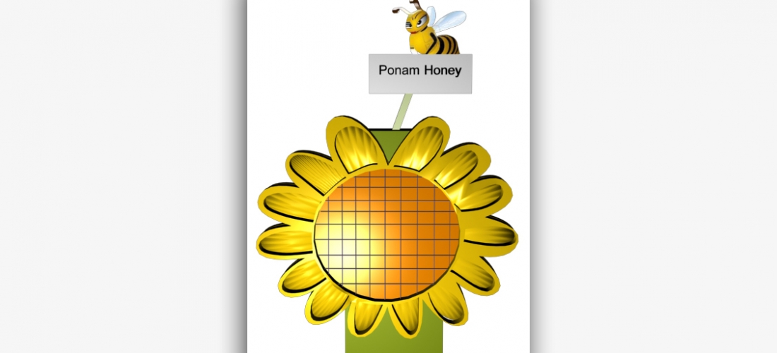 Imtiaz Ponam Honey (Pakistan)